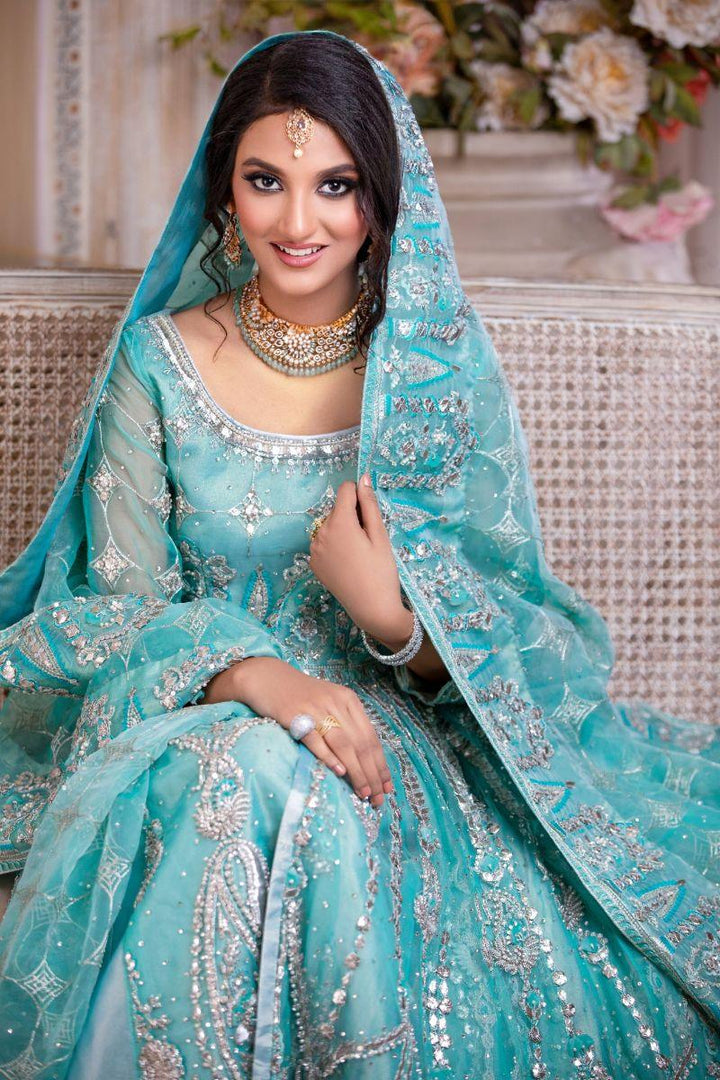 Zahra Ahmad - ST006 - Feroze - Organza - 2 Piece