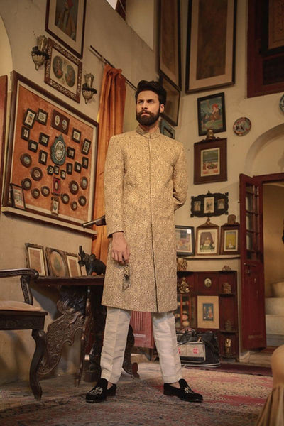 GEM Garments - Hamid - Sherwani - Fawn - 1 Piece - Organza - Studio by TCS