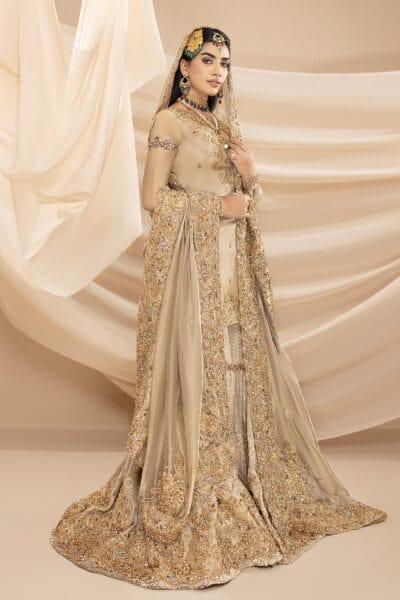 Gharara amazon Clearance