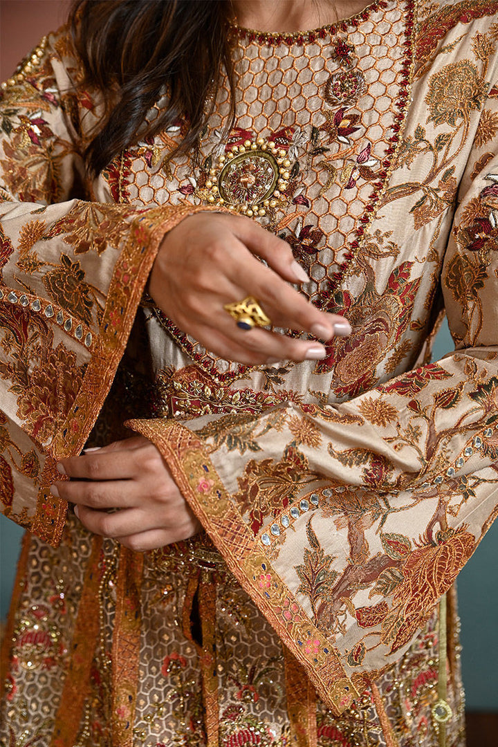 Shamaeel - TS-3 - Raw Silk & Organza