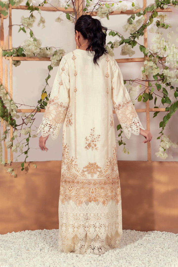 Shamaeel - EB-03 - Viscose Silk/Organza