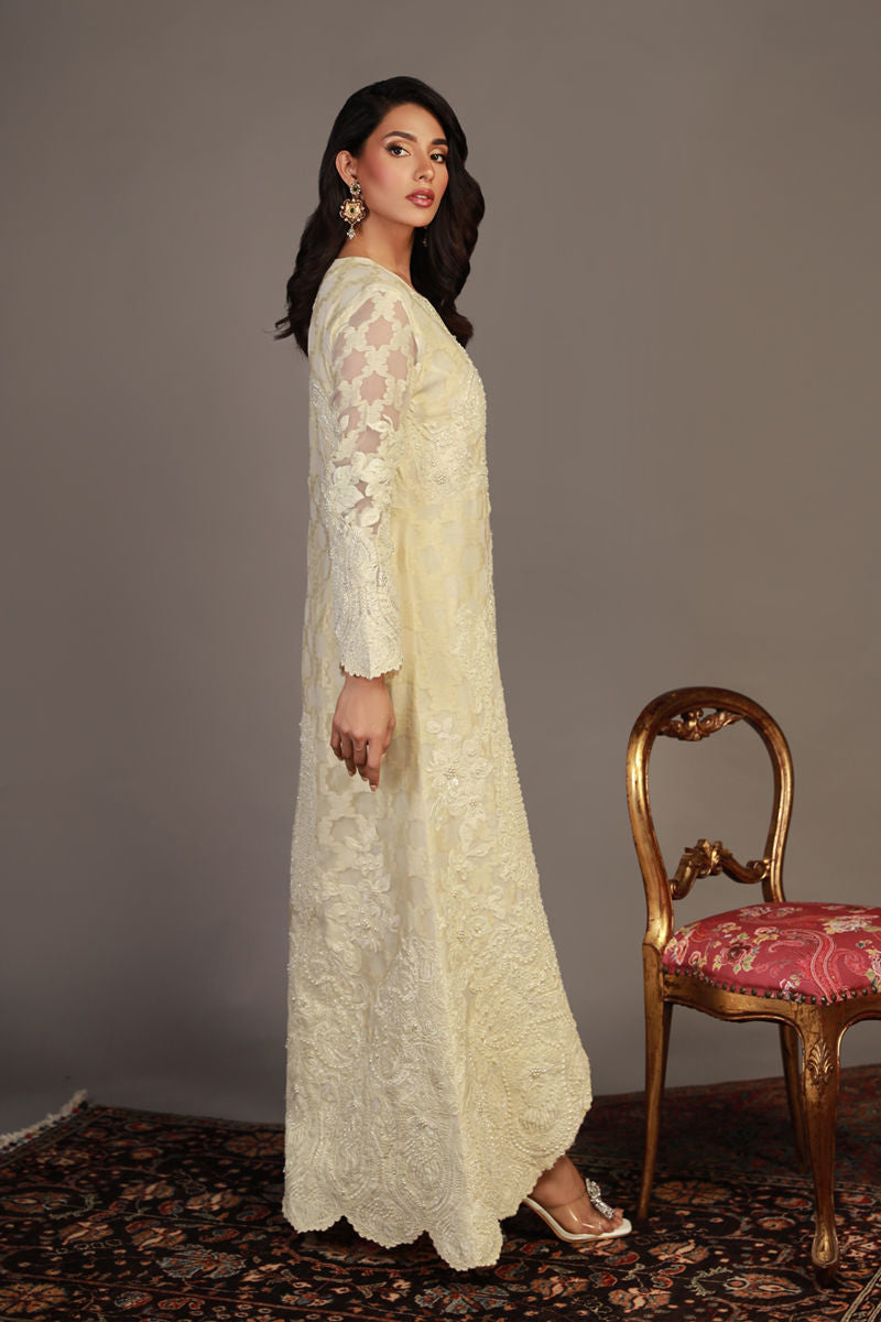 Shamaeel - RV-08 - Self Jacquard Organza/Cotton Silk