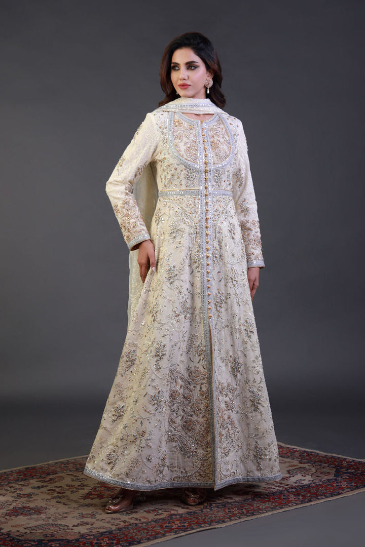 Shamaeel - EE-16 - Textured Net/Cotton Silk