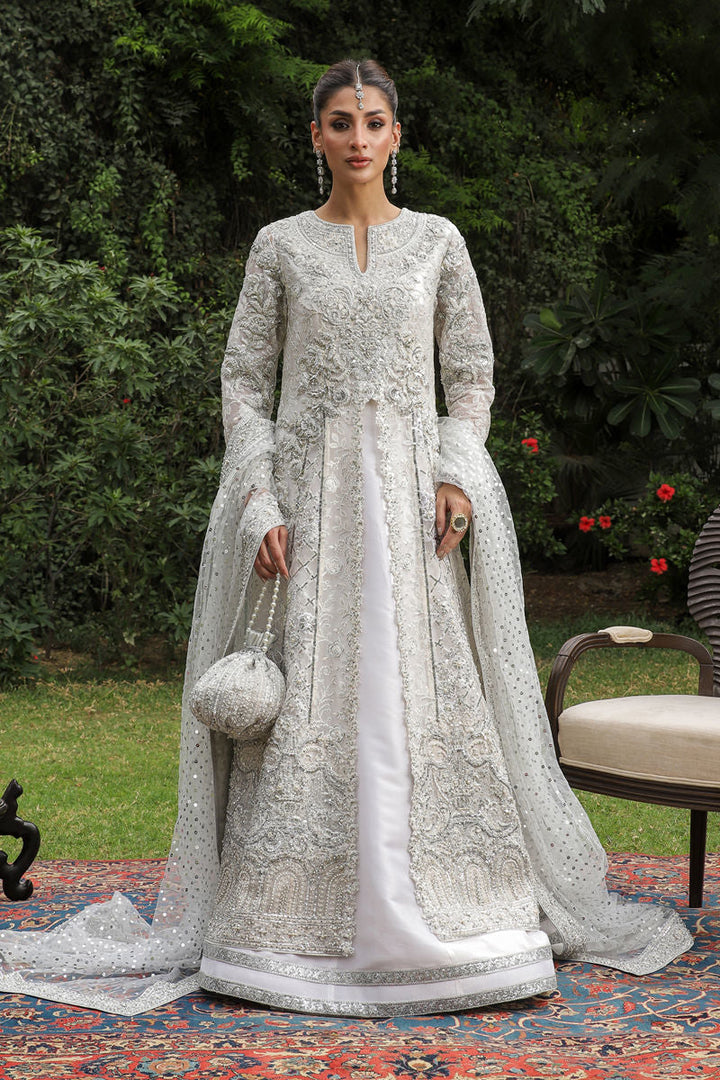 Shamaeel - Zuri-05 - Pure Organza/Sheesha Silk