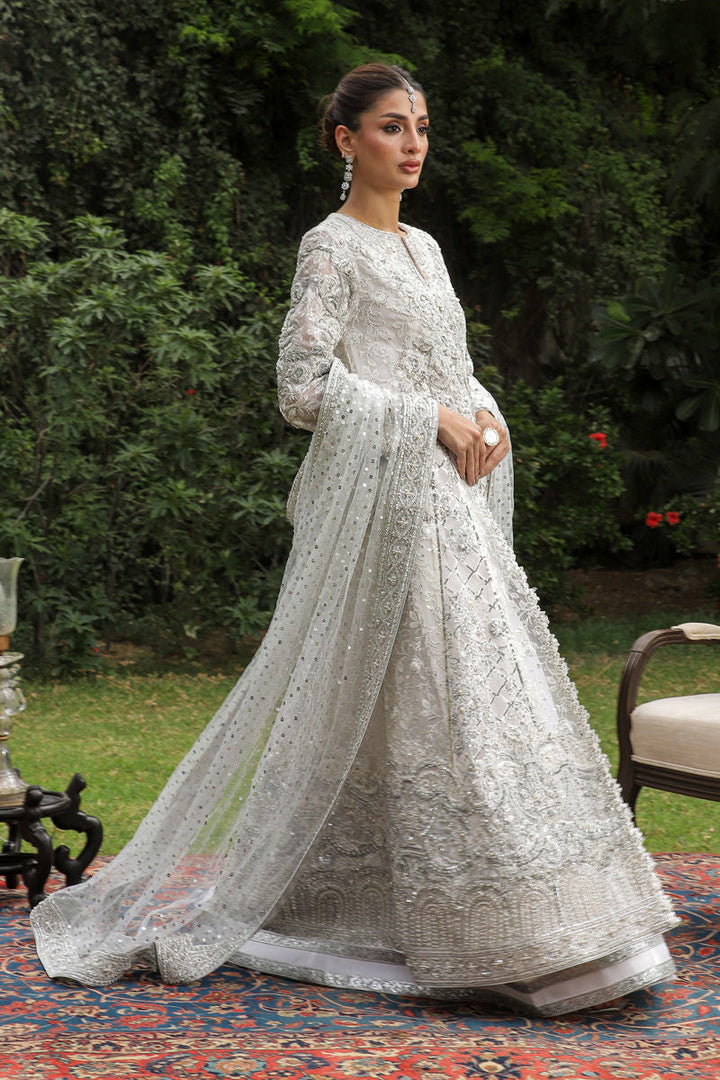 Shamaeel - Zuri-05 - Pure Organza/Sheesha Silk