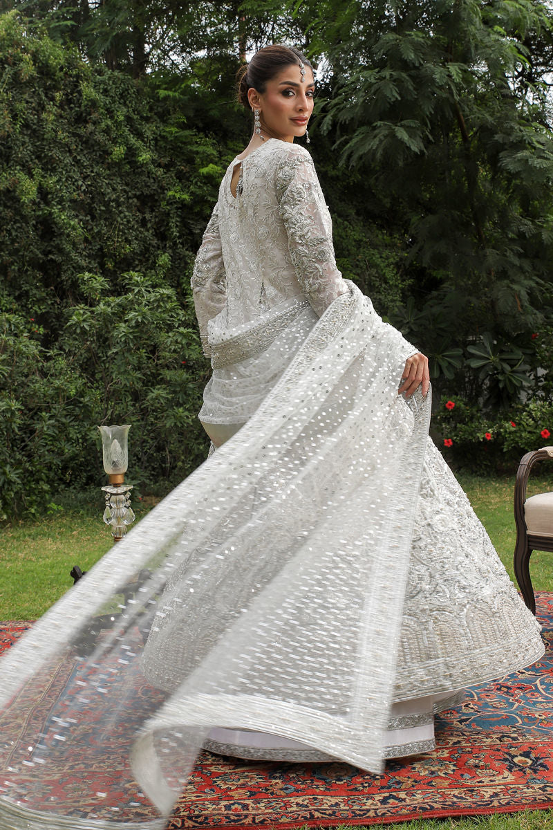 Shamaeel - Zuri-05 - Pure Organza/Sheesha Silk