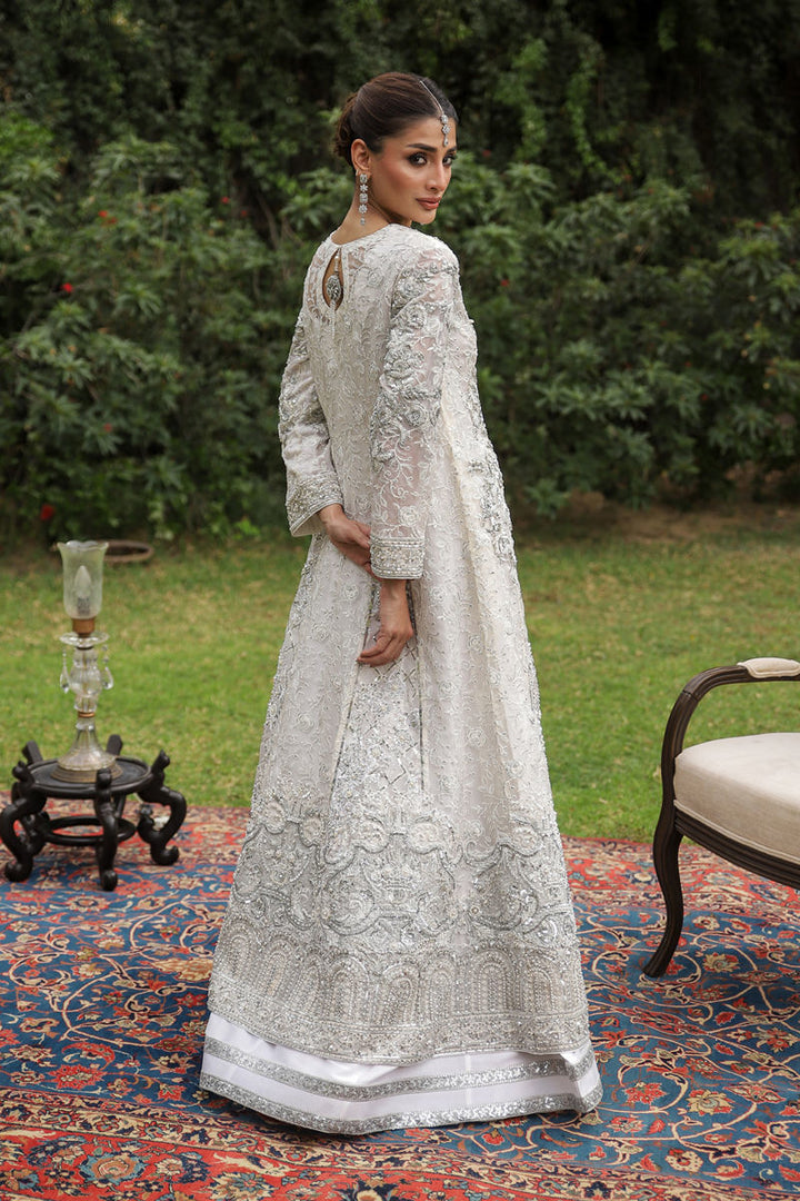 Shamaeel - Zuri-05 - Pure Organza/Sheesha Silk