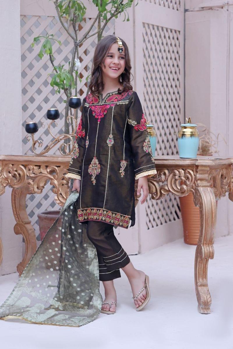 Oaks - Meherma - Masoori Embroidered 2 Piece - Studio by TCS