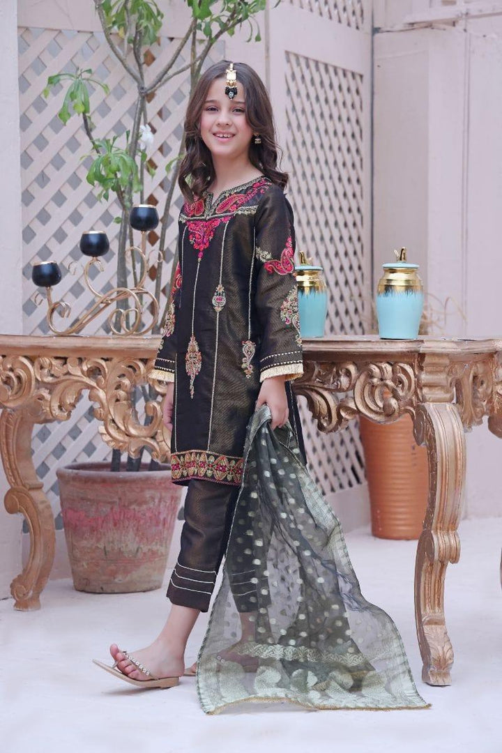 Oaks - Meherma - Masoori Embroidered 2 Piece - Studio by TCS