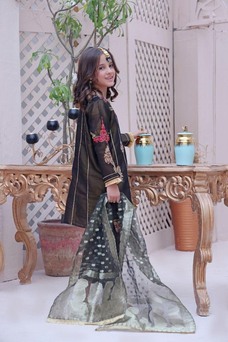 Oaks - Meherma - Masoori Embroidered 2 Piece - Studio by TCS