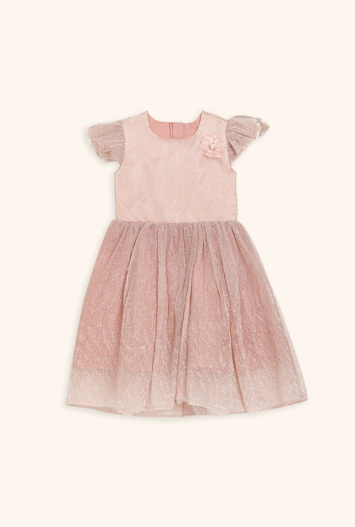 Hummingbirdspk - Peach Shimmery Party Dress