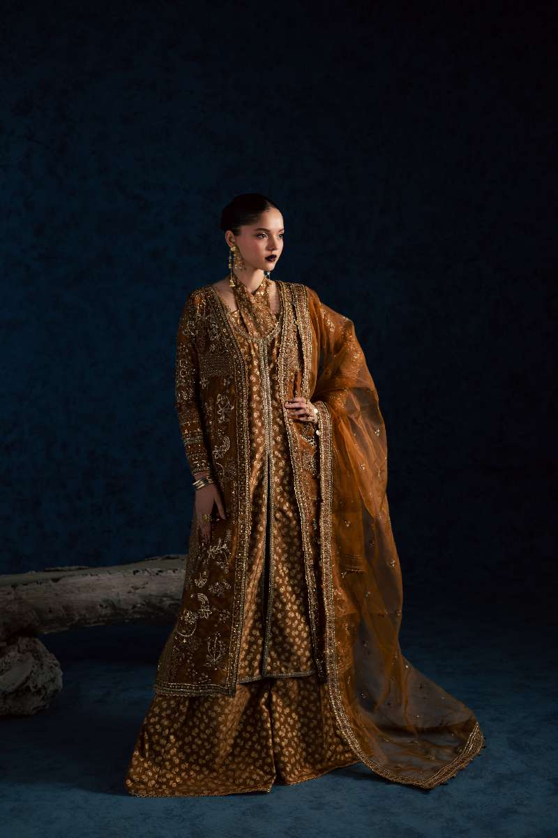 Maria Osama Khan - Zarmin Brown Organza / Raw Silk Suit For Women - 4 Piece