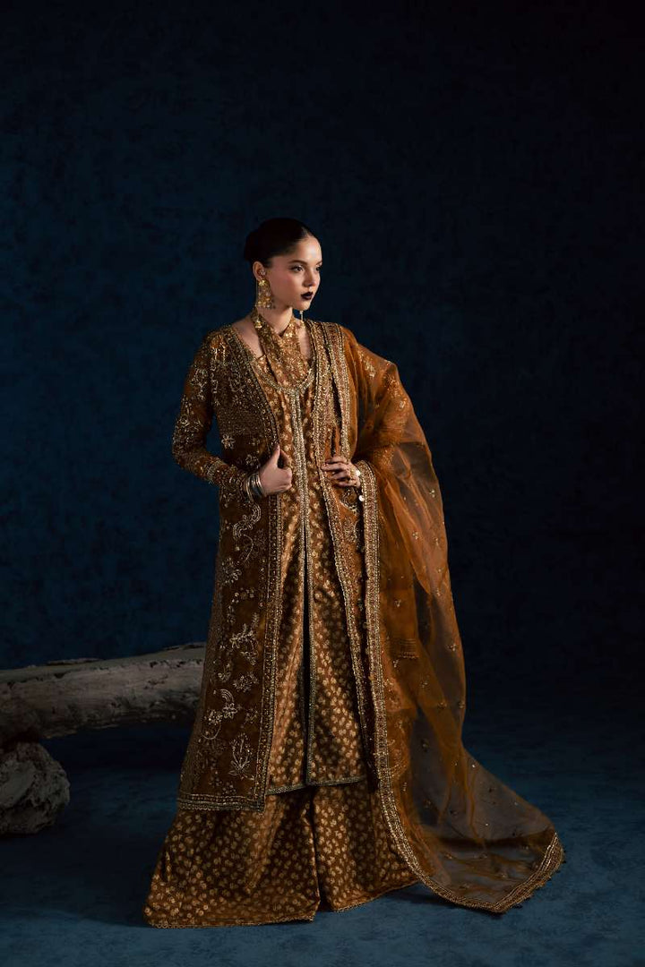 Maria Osama Khan - Zarmin Brown Organza / Raw Silk Suit For Women - 4 Piece
