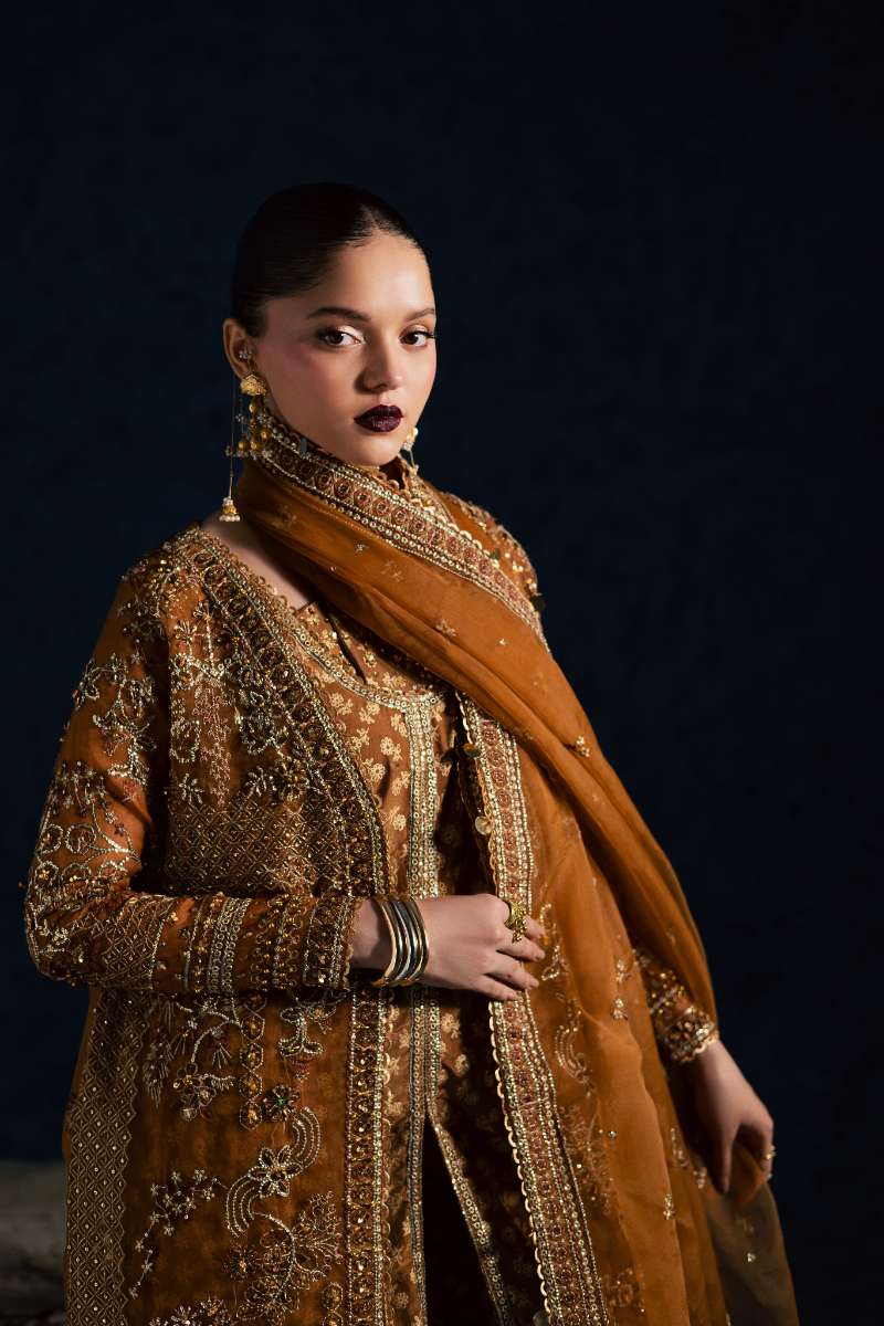 Maria Osama Khan - Zarmin Brown Organza / Raw Silk Suit For Women - 4 Piece