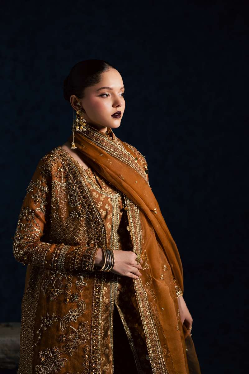 Maria Osama Khan - Zarmin Brown Organza / Raw Silk Suit For Women - 4 Piece