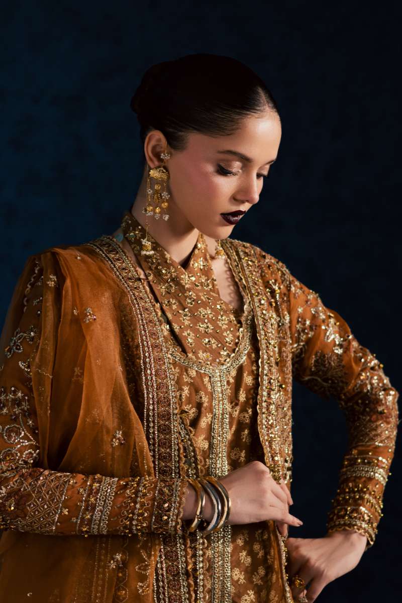 Maria Osama Khan - Zarmin Brown Organza / Raw Silk Suit For Women - 4 Piece