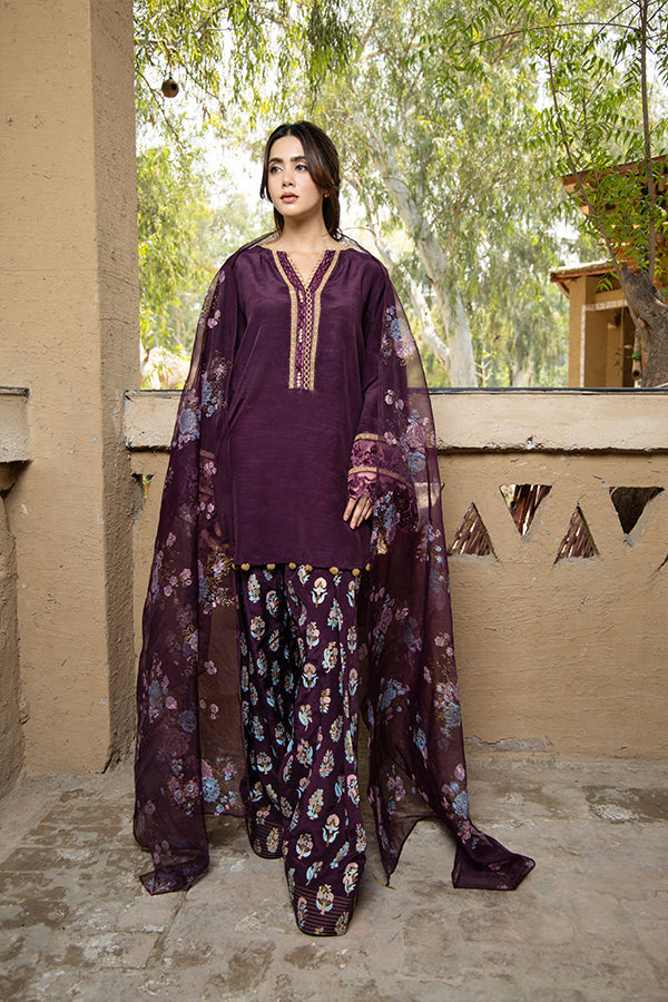 Arif Ashraf - Kohsaar