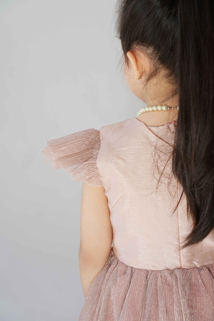Hummingbirdspk - Peach Shimmery Party Dress