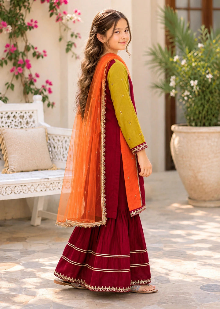 Modest - Rawsilk Embroidered Gharara For Girl - Multi - 3 Piece