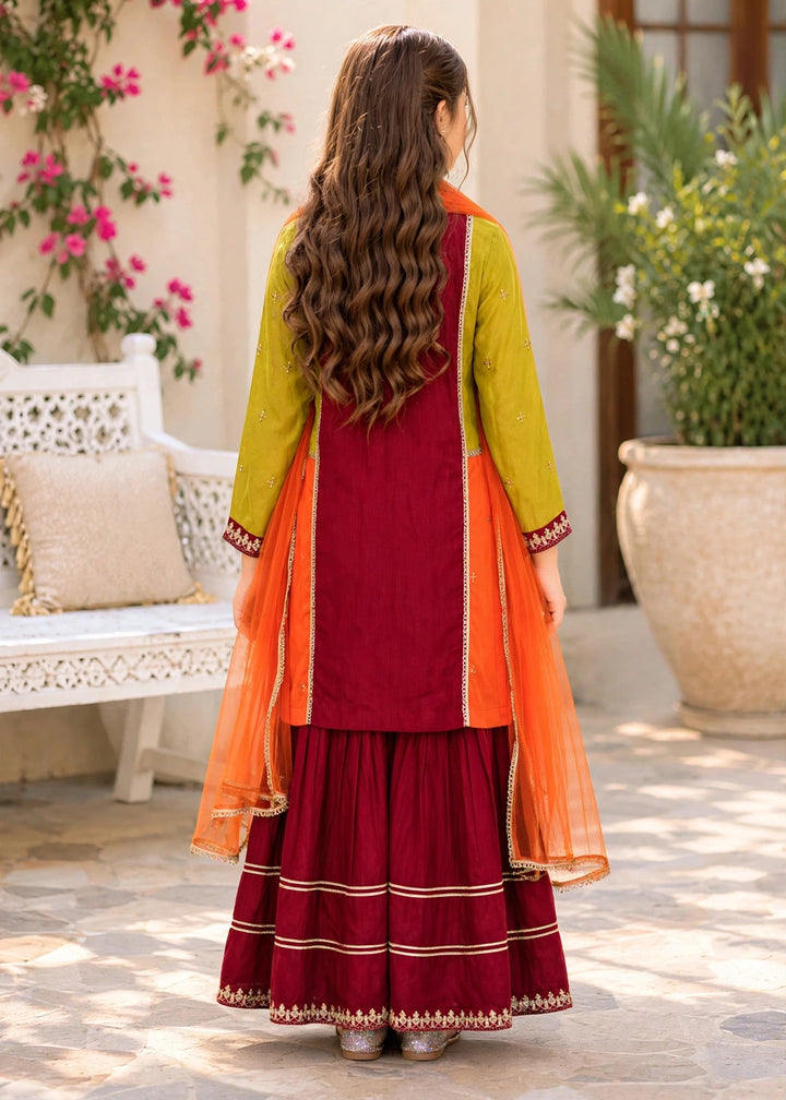 Modest - Rawsilk Embroidered Gharara For Girl - Multi - 3 Piece