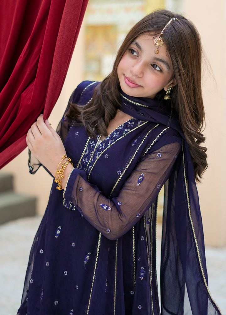 Modest Embroidered Crinkle Suit Blue 3 Piece