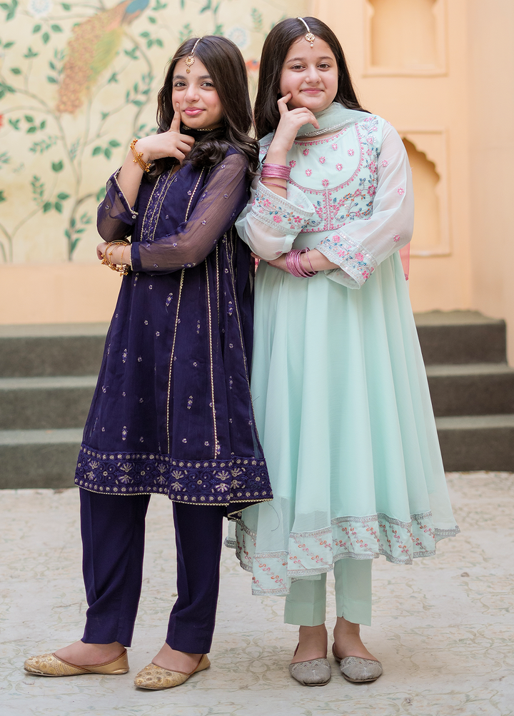 Modest Embroidered Crinkle Suit Blue 3 Piece