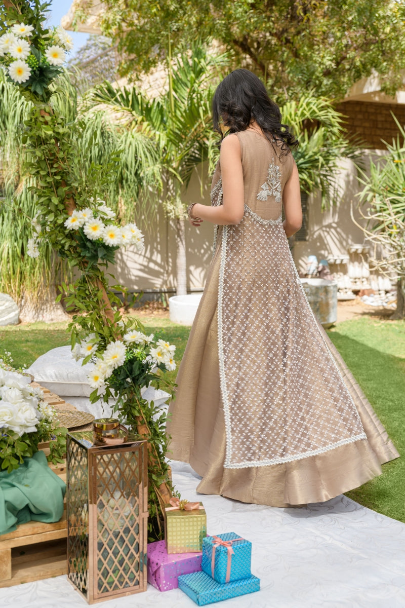 Alishba Kashif - AURA - taupe - Net and Maisoori - 3 Piece