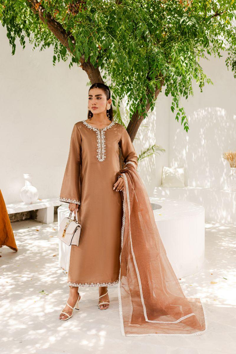 Allure by IH - HAZEL Silk & Organza Suit For Women - Brown - 3 Piece