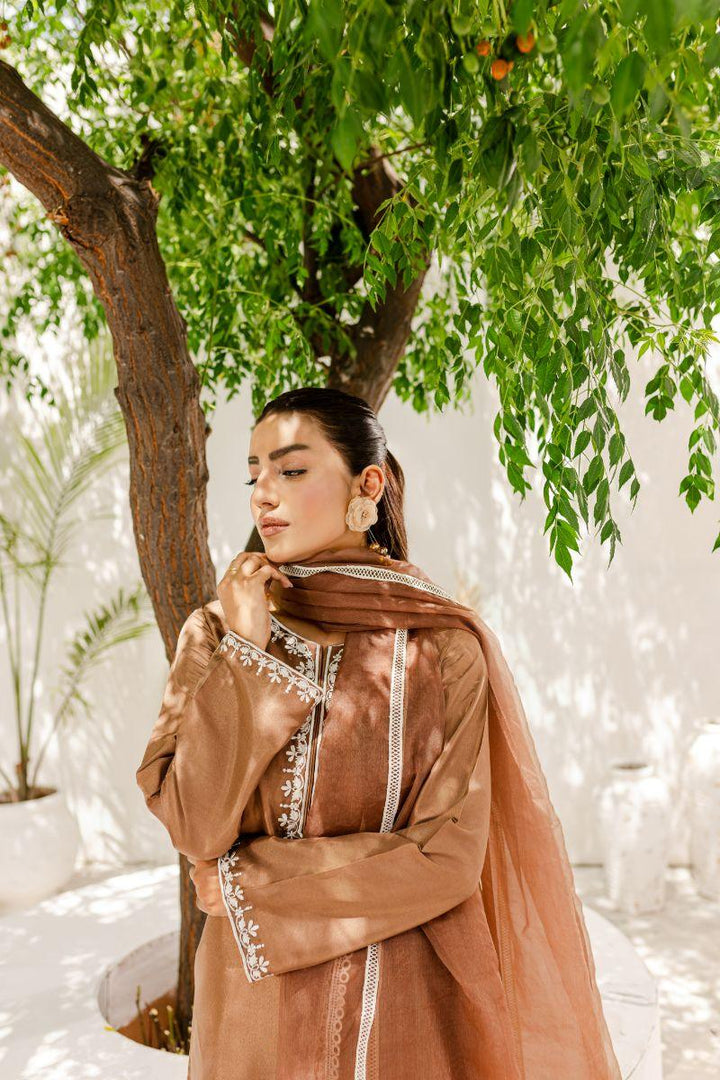 Allure by IH - HAZEL Silk & Organza Suit For Women - Brown - 3 Piece