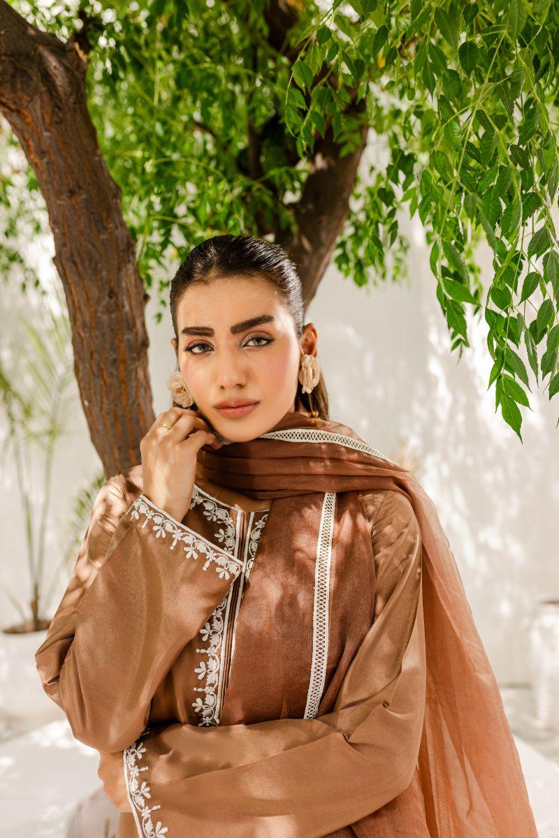 Allure by IH - HAZEL Silk & Organza Suit For Women - Brown - 3 Piece