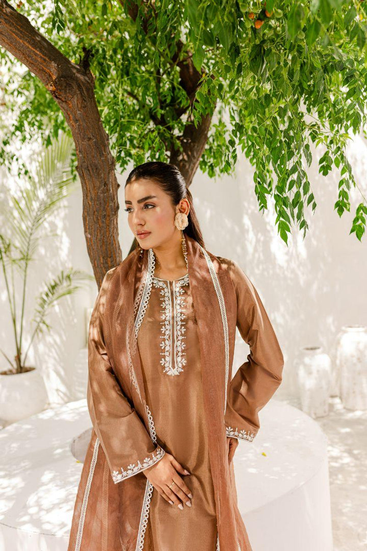 Allure by IH - HAZEL Silk & Organza Suit For Women - Brown - 3 Piece