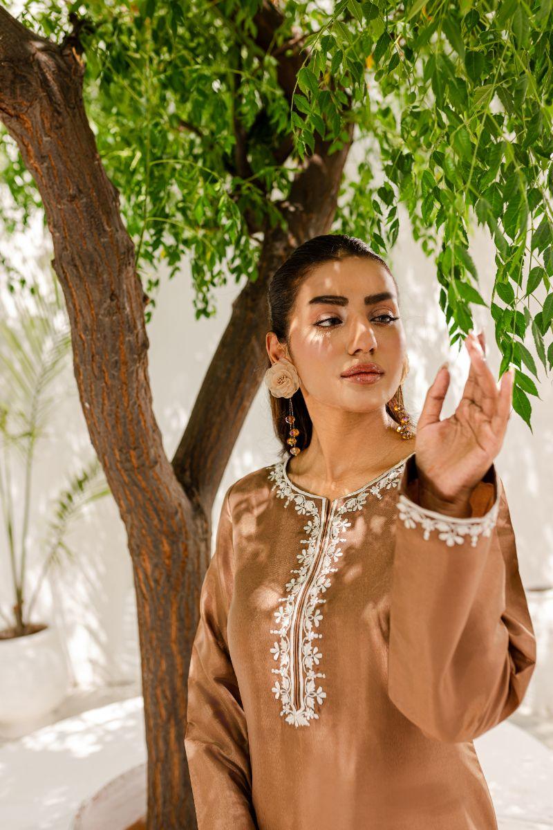 Allure by IH - HAZEL Silk & Organza Suit For Women - Brown - 3 Piece