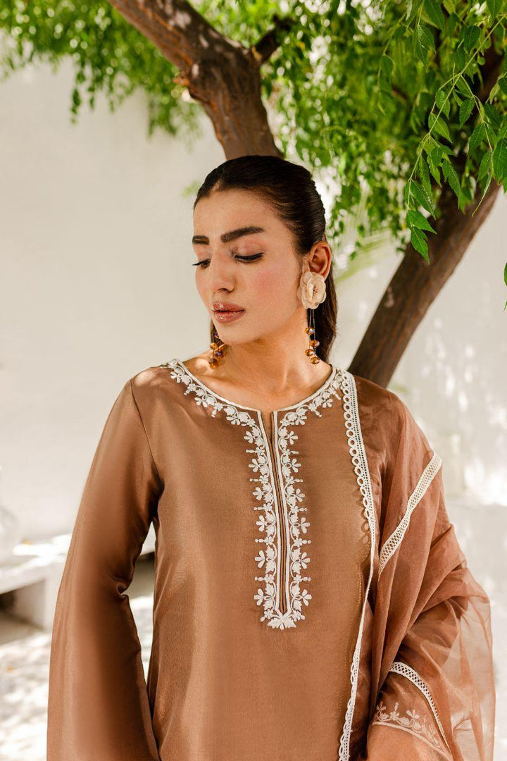 Allure by IH - HAZEL Silk & Organza Suit For Women - Brown - 3 Piece