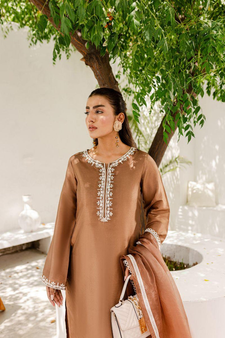 Allure by IH - HAZEL Silk & Organza Suit For Women - Brown - 3 Piece