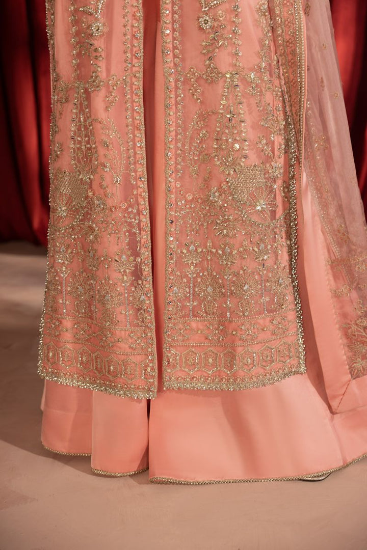 Anayra Amal - Gulaab - Peachy Pink - Organza - 3 Piece