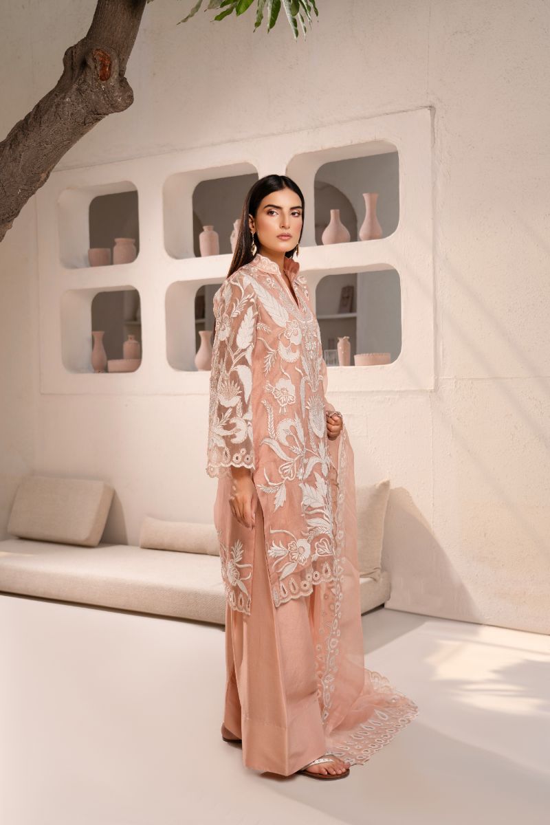 Anayra Amal - Organza Afsaneh Embroidered Suit For Women - Powder Peach - 3 Piece