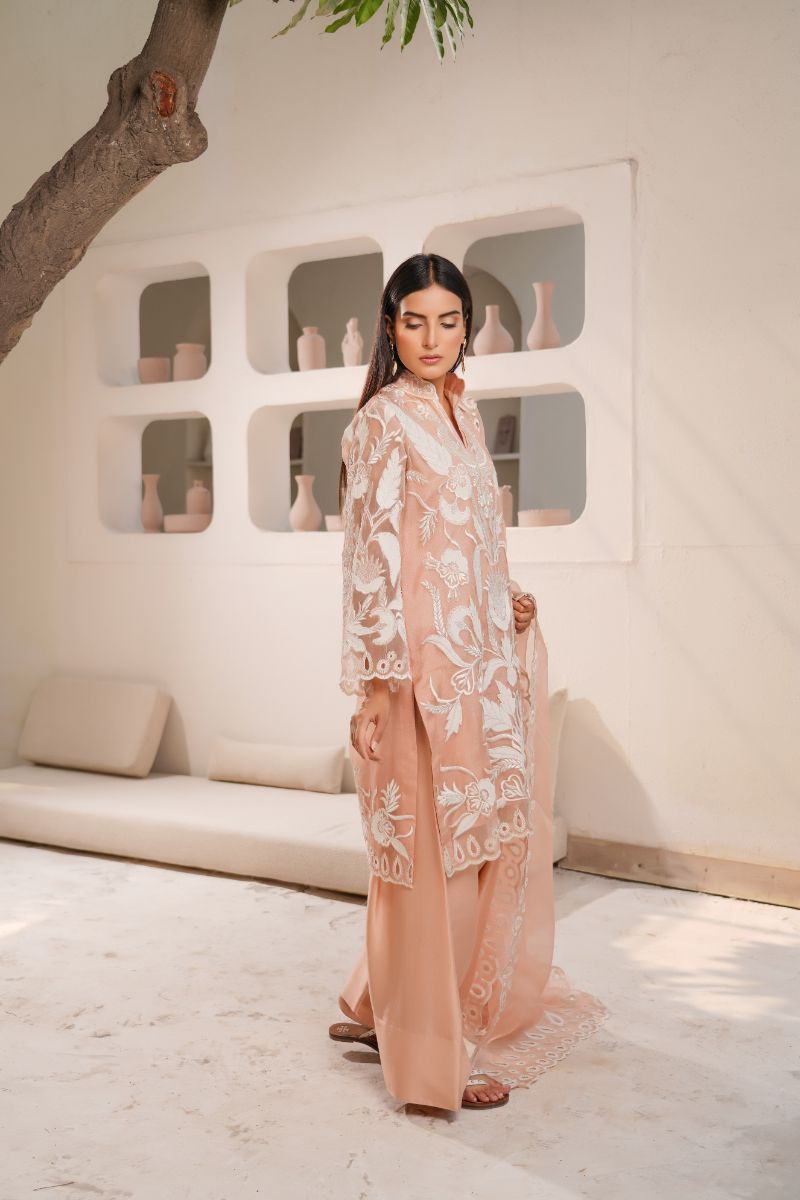 Anayra Amal - Organza Afsaneh Embroidered Suit For Women - Powder Peach - 3 Piece