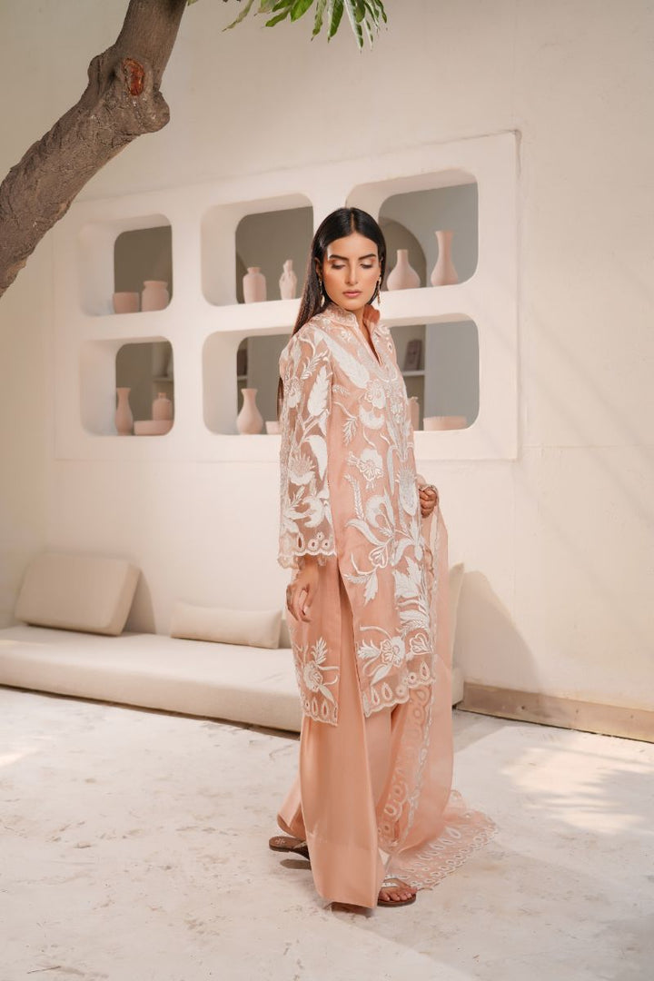 Anayra Amal - Organza Afsaneh Embroidered Suit For Women - Powder Peach - 3 Piece
