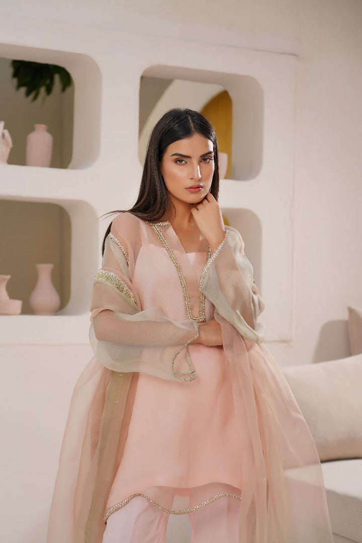 Anayra Amal - Organza Suffuse Lace Work Suit For Women - Baby Pink - 3 Piece