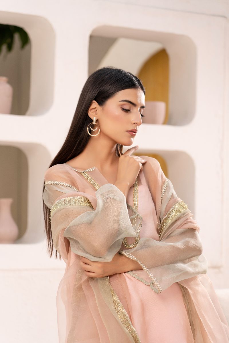 Anayra Amal - Organza Suffuse Lace Work Suit For Women - Baby Pink - 3 Piece