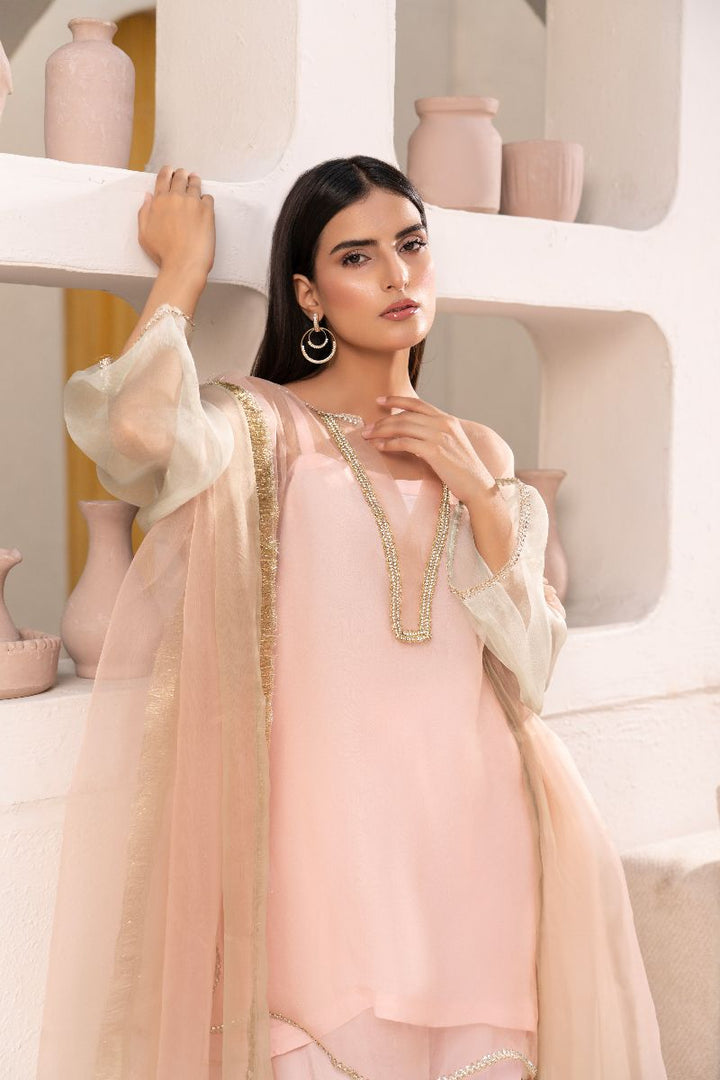 Anayra Amal - Organza Suffuse Lace Work Suit For Women - Baby Pink - 3 Piece