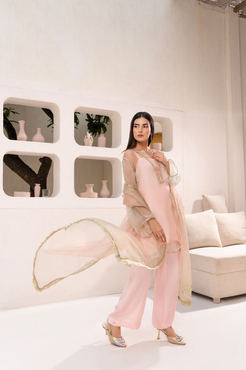 Anayra Amal - Organza Suffuse Lace Work Suit For Women - Baby Pink - 3 Piece