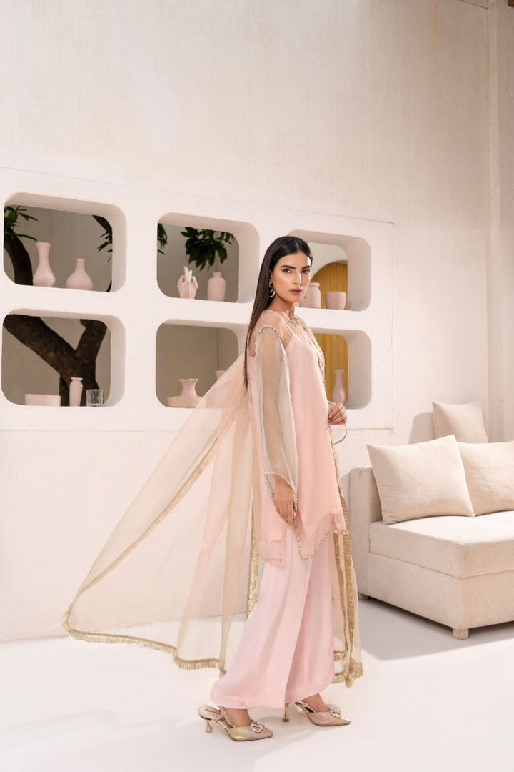 Anayra Amal - Organza Suffuse Lace Work Suit For Women - Baby Pink - 3 Piece