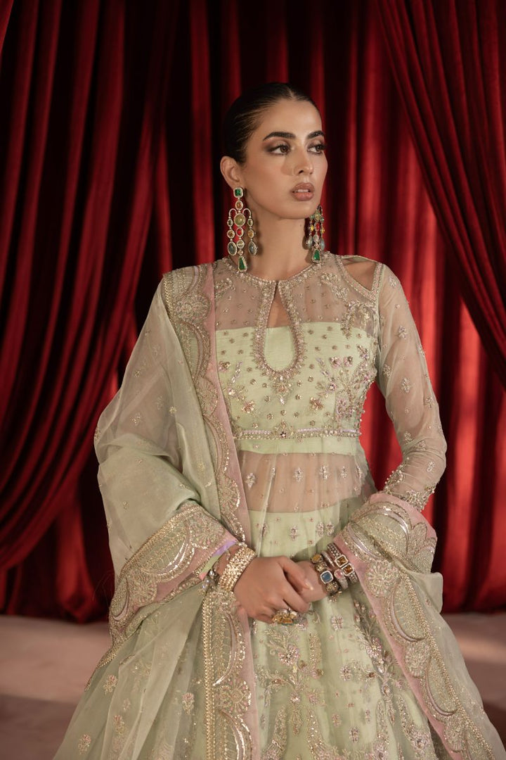 Anayra Amal - Paalki - Mint Green - Organza - 3 Piece