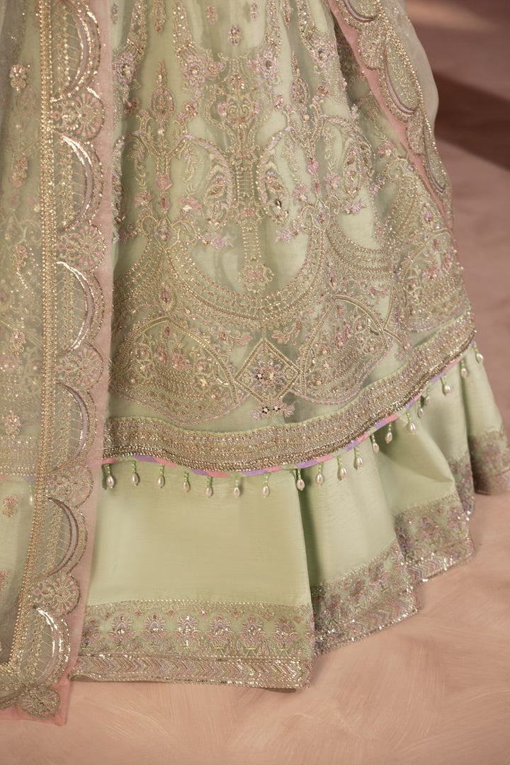 Anayra Amal - Paalki - Mint Green - Organza - 3 Piece