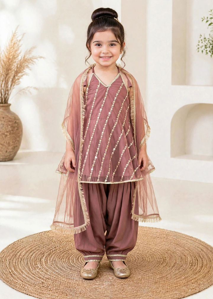 Modest 3 Piece Net Embroidered Tea Pink Suit