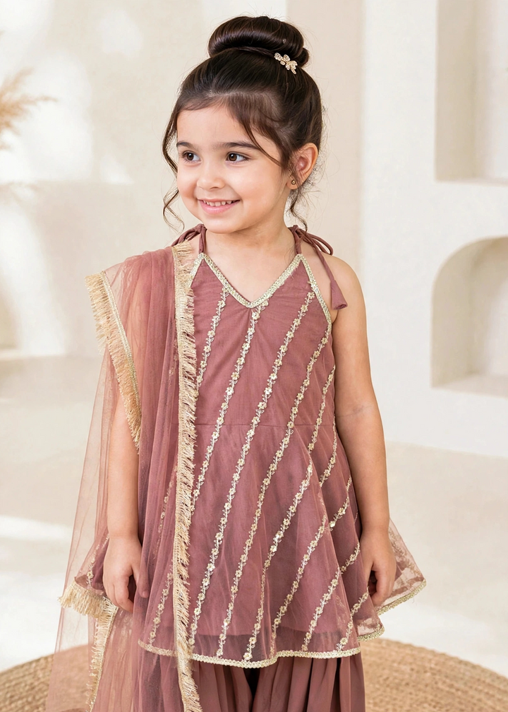 Modest 3 Piece Net Embroidered Tea Pink Suit