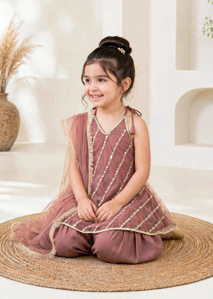 Modest 3 Piece Net Embroidered Tea Pink Suit