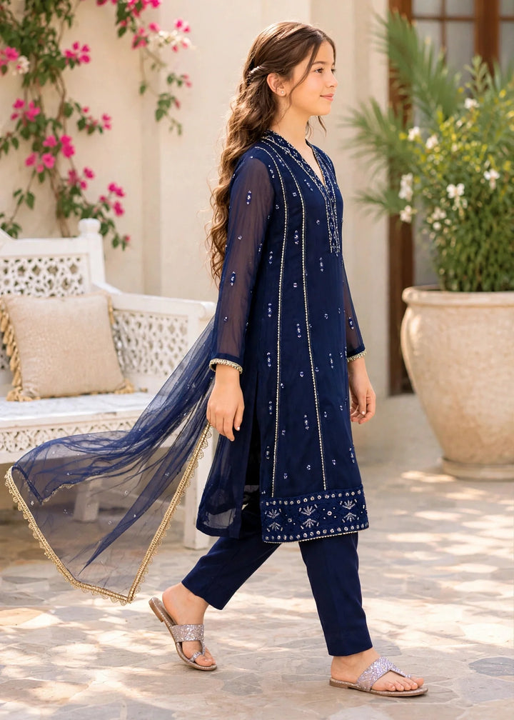 Modest Embroidered Crinkle Suit Blue 3 Piece