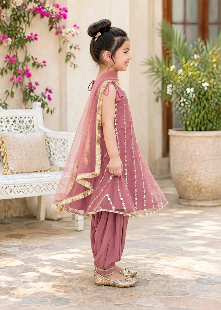 Modest 3 Piece Net Embroidered Pink Frock